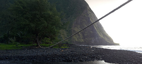 Rope to help at stream crossing.