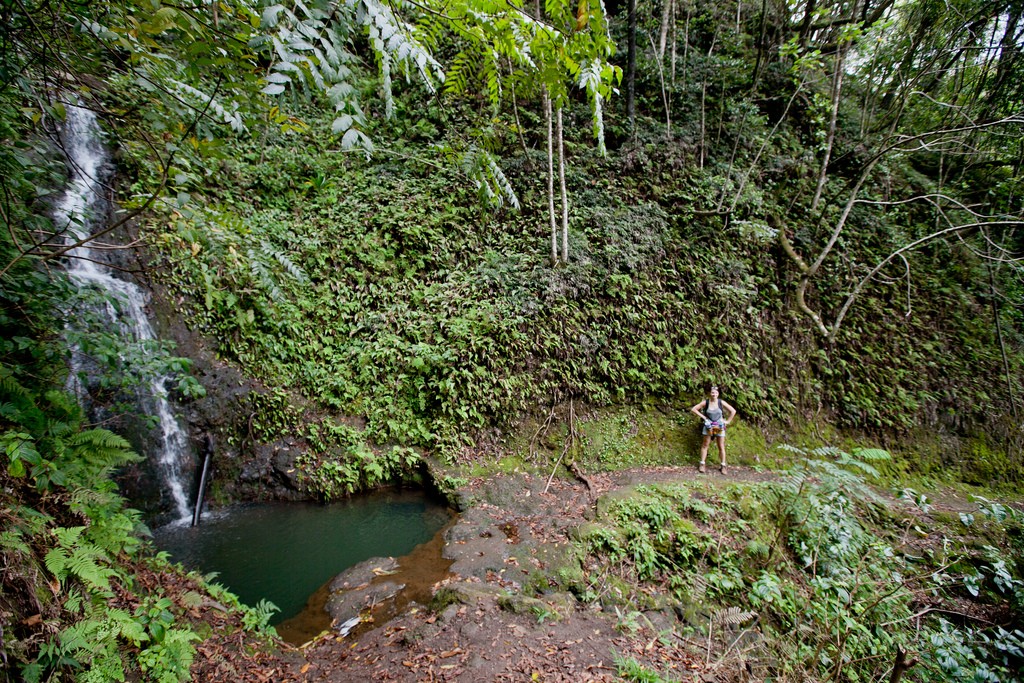 Waimanu Valley Trek