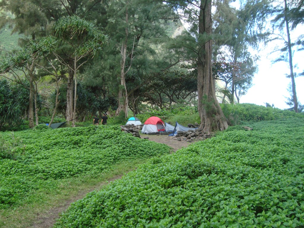 Waimanu Valley Campsites